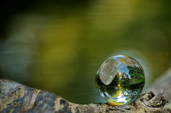 Glass_ball_project_Series_Glassball_Photography_097_Canon_EOS_5D_Mark_IV.JPG