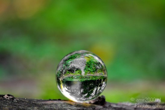 Glass_ball_project_Series_Glassball_Photography_099_Canon_EOS_5D_Mark_IV.JPG