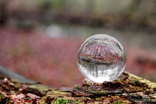 Glass_ball_project_Series_Glassball_Photography_126_Canon_EOS_5D_Mark_IV.JPG