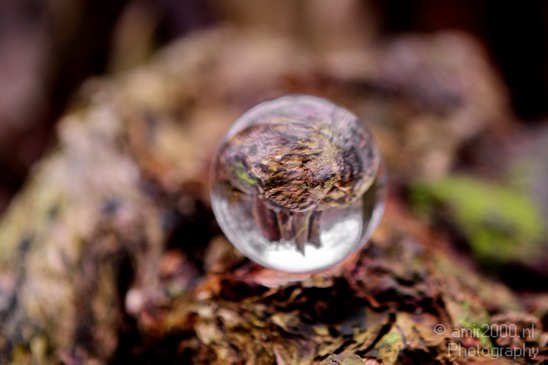Glass_ball_project_Series_Glassball_Photography_128_Canon_EOS_5D_Mark_IV.JPG
