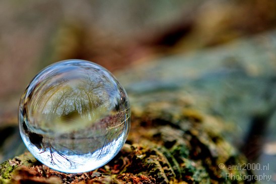 Glass_ball_project_Series_Glassball_Photography_131_Canon_EOS_5D_Mark_IV.JPG