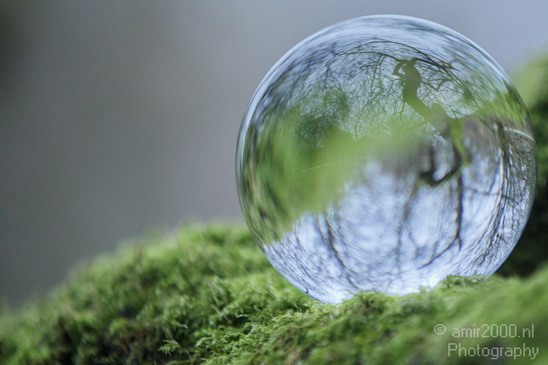 Glass_ball_project_Series_Glassball_Photography_135_Canon_EOS_5D_Mark_IV.JPG