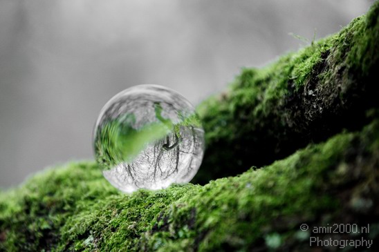 Glass_ball_project_Series_Glassball_Photography_136_Canon_EOS_5D_Mark_IV.JPG