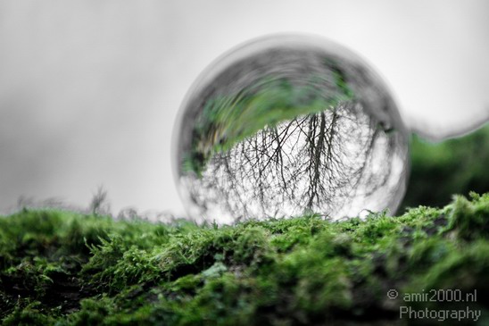 Glass_ball_project_Series_Glassball_Photography_138_Canon_EOS_5D_Mark_IV.JPG