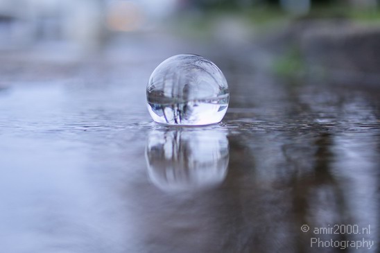 Glass_ball_project_Series_Glassball_Photography_140_Canon_EOS_5D_Mark_IV.JPG