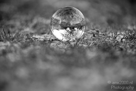 Glass_ball_project_Series_Glassball_Photography_146_Canon_EOS_5D_Mark_IV.JPG