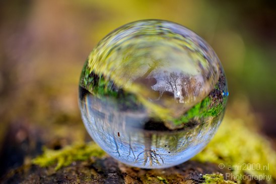 Glass_ball_project_Series_Glassball_Photography_158_Canon_EOS_5D_Mark_IV.JPG