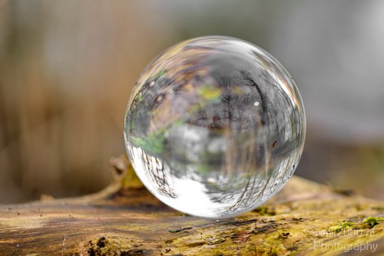 Glass_ball_project_Series_Glassball_Photography_162_Canon_EOS_5D_Mark_IV.JPG