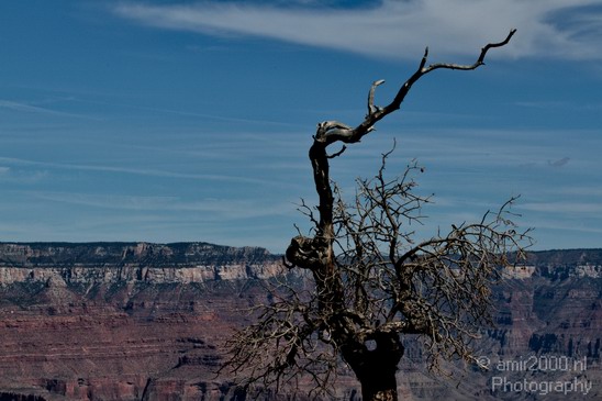 Grand_Canyon_south_rim_Arizona_usa_Grandcanyon_Photography_016_Canon_EOS_7D.JPG