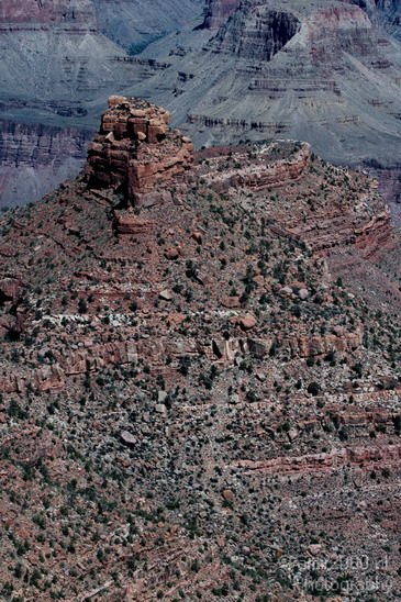 Grand_Canyon_south_rim_Arizona_usa_Grandcanyon_Photography_022_Canon_EOS_7D.JPG