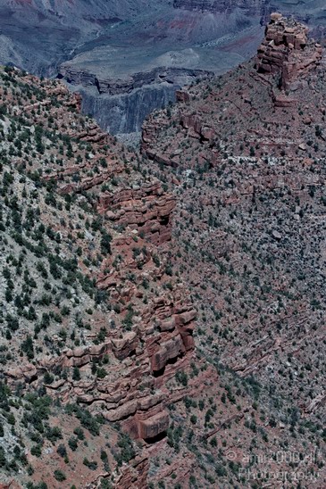Grand_Canyon_south_rim_Arizona_usa_Grandcanyon_Photography_040_Canon_EOS_7D.JPG