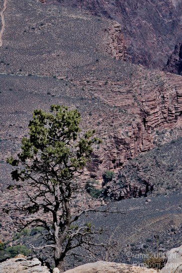 Grand_Canyon_south_rim_Arizona_usa_Grandcanyon_Photography_045_Canon_EOS_7D.JPG