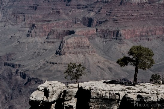 Grand_Canyon_south_rim_Arizona_usa_Grandcanyon_Photography_047_Canon_EOS_7D.JPG
