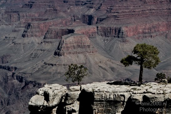 Grand_Canyon_south_rim_Arizona_usa_Grandcanyon_Photography_049_Canon_EOS_7D.JPG