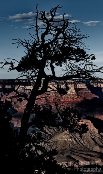 Grand_Canyon_south_rim_Arizona_usa_Grandcanyon_Photography_083_Canon_EOS_7D.JPG