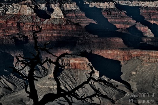 Grand_Canyon_south_rim_Arizona_usa_Grandcanyon_Photography_085_Canon_EOS_7D.JPG