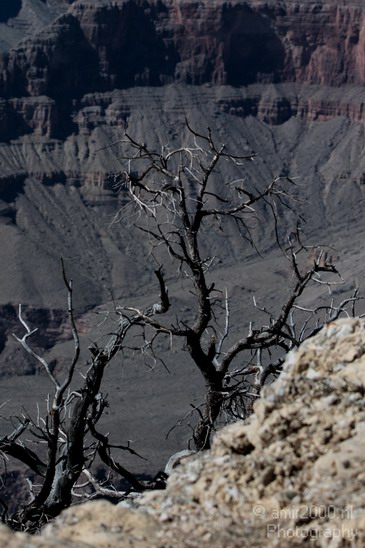 Grand_Canyon_south_rim_Arizona_usa_Grandcanyon_Photography_087_Canon_EOS_7D.JPG