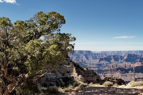 Grand_Canyon_south_rim_Arizona_usa_Grandcanyon_Photography_106_Canon_EOS_7D.JPG