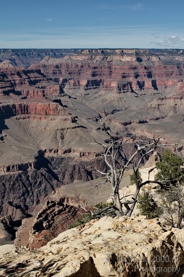 Grand_Canyon_south_rim_Arizona_usa_Grandcanyon_Photography_108_Canon_EOS_7D.JPG