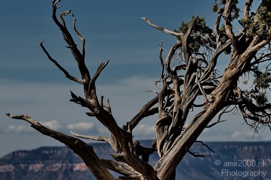 Grand_Canyon_south_rim_Arizona_usa_Grandcanyon_Photography_116_Canon_EOS_7D.JPG