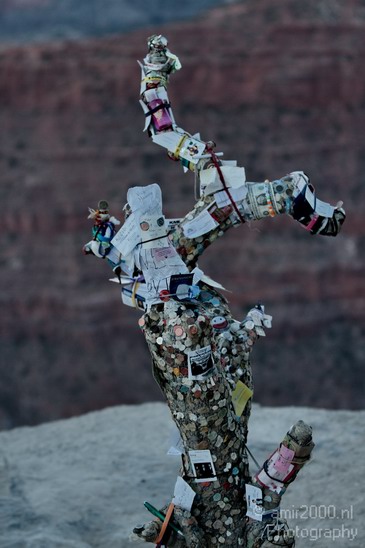 Grand_Canyon_south_rim_Arizona_usa_Grandcanyon_Photography_142_Canon_EOS_7D.JPG