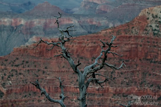 Grand_Canyon_south_rim_Arizona_usa_Grandcanyon_Photography_146_Canon_EOS_7D.JPG