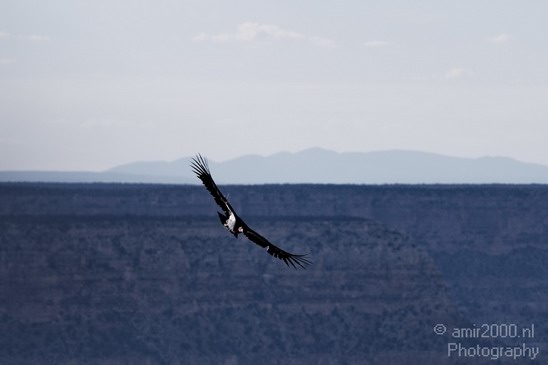 Grand_Canyon_south_rim_Arizona_usa_Grandcanyon_Photography_169_Canon_EOS_7D.JPG