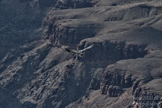 Grand_Canyon_south_rim_Arizona_usa_Grandcanyon_Photography_170_Canon_EOS_7D.JPG