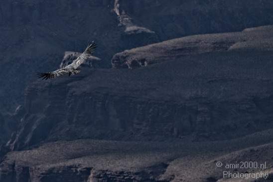 Grand_Canyon_south_rim_Arizona_usa_Grandcanyon_Photography_171_Canon_EOS_7D.JPG