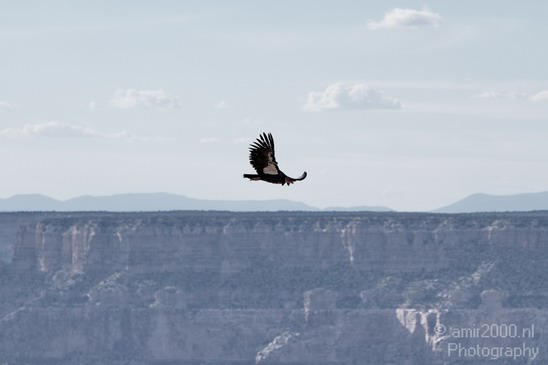 Grand_Canyon_south_rim_Arizona_usa_Grandcanyon_Photography_172_Canon_EOS_7D.JPG