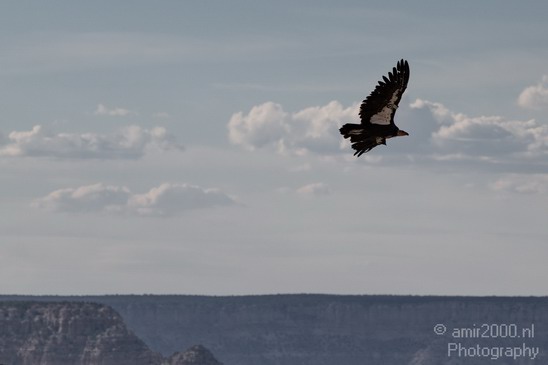 Grand_Canyon_south_rim_Arizona_usa_Grandcanyon_Photography_175_Canon_EOS_7D.JPG