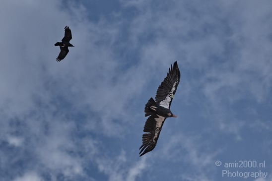 Grand_Canyon_south_rim_Arizona_usa_Grandcanyon_Photography_176_Canon_EOS_7D.JPG