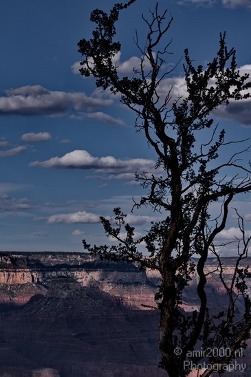Grand_Canyon_south_rim_Arizona_usa_Grandcanyon_Photography_181_Canon_EOS_7D.JPG