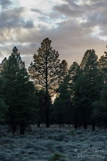 Grand_Canyon_south_rim_Arizona_usa_Grandcanyon_Photography_184_Canon_EOS_7D.JPG