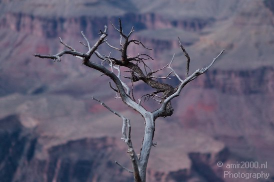 Grand_Canyon_south_rim_Arizona_usa_Grandcanyon_Photography_195_Canon_EOS_7D.JPG