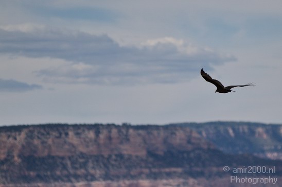 Grand_Canyon_south_rim_Arizona_usa_Grandcanyon_Photography_200_Canon_EOS_7D.JPG