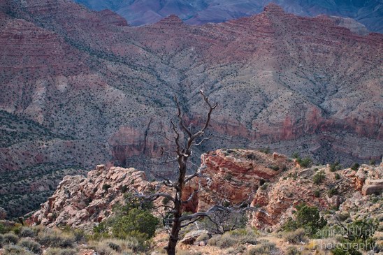Grand_Canyon_south_rim_Arizona_usa_Grandcanyon_Photography_241_Canon_EOS_7D.JPG