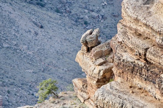 Grand_Canyon_south_rim_Arizona_usa_Grandcanyon_Photography_255_Canon_EOS_7D.JPG