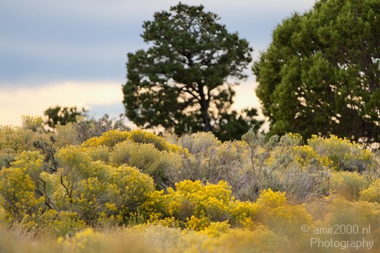 Grand_Canyon_south_rim_Arizona_usa_Grandcanyon_Photography_257_Canon_EOS_7D.JPG