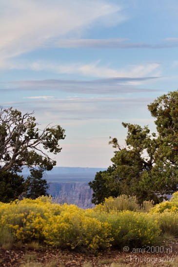 Grand_Canyon_south_rim_Arizona_usa_Grandcanyon_Photography_258_Canon_EOS_7D.JPG