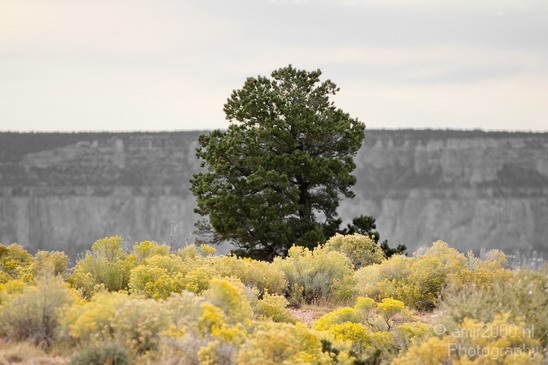 Grand_Canyon_south_rim_Arizona_usa_Grandcanyon_Photography_259_Canon_EOS_7D.JPG