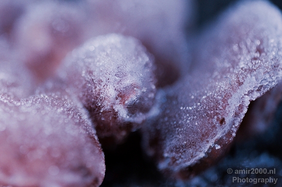 Ice_crystals_macro_winter_Photography_001_Canon_EOS_5D_Mark_IV.JPG
