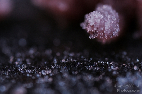 Ice_crystals_macro_winter_Photography_003_Canon_EOS_5D_Mark_IV.JPG