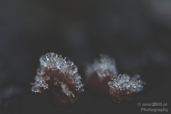 Ice_crystals_macro_winter_Photography_005_Canon_EOS_5D_Mark_IV.JPG