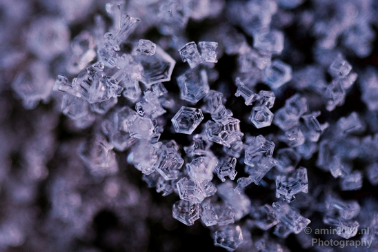 Ice_crystals_macro_winter_Photography_006_Canon_EOS_5D_Mark_IV.JPG