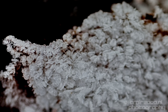 Ice_crystals_macro_winter_Photography_010_Canon_EOS_5D_Mark_IV.JPG