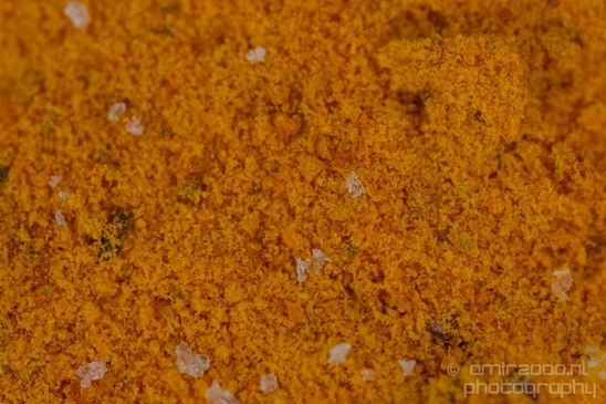 Macro_looking_at_Spices_Photography_003_Canon_EOS_5D_Mark_IV.JPG