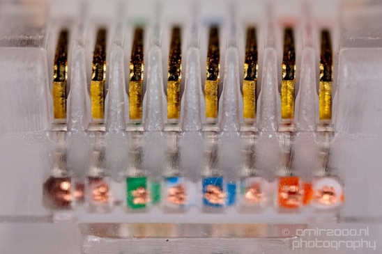 Macro_looking_at_cables_Photography_001_Canon_EOS_5D_Mark_IV.JPG