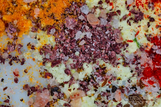 Macro_photography_looking_at_Spices_07.JPG