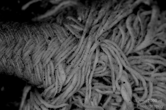 Part_of_a_fabric_macro_Photography_001_Canon_EOS_5D_Mark_IV.JPG